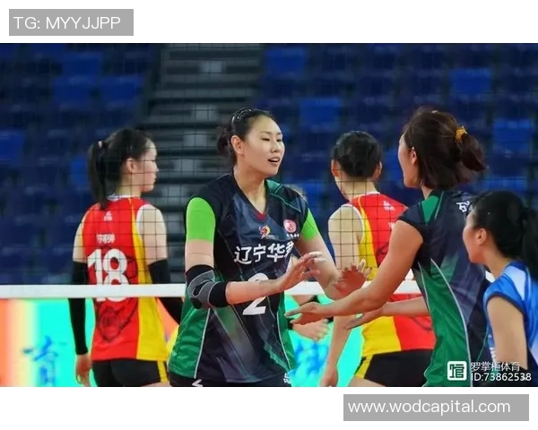 上海排球队的战术控制与球队表现深度分析 上海排球队的战术控制与球队表现深度分析