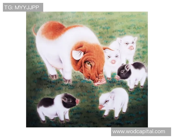 足球明星中的拳王谁才是真正的打人高手揭秘 足球明星中的拳王谁才是真正的打人高手揭秘