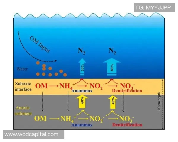 杭州排球队的整体压制分析与战术深度探讨 杭州排球队的整体压制分析与战术深度探讨