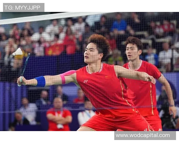 杭州羽毛球队在奥运会上的技术表现分析与点评