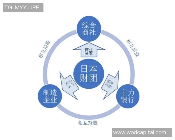 深圳篮球队防守革新之路探索与实践的深度剖析与启示