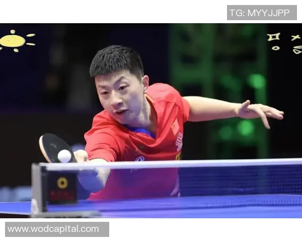 从零起步掌握乒乓球战术技巧全解析助你成为乒乓高手