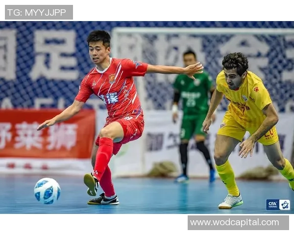 杭州排球队强势领跑欧锦赛积分榜积60分展现冠军实力 杭州排球队强势领跑欧锦赛积分榜积60分展现冠军实力