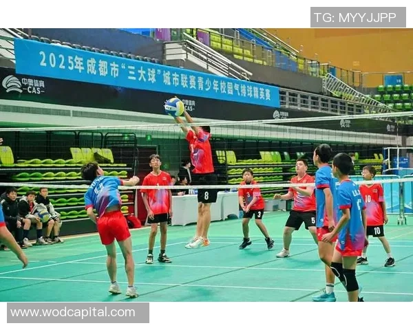 成都排球队精英赛精彩配合分析与表现评估