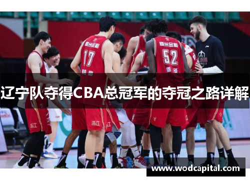 辽宁队夺得CBA总冠军的夺冠之路详解