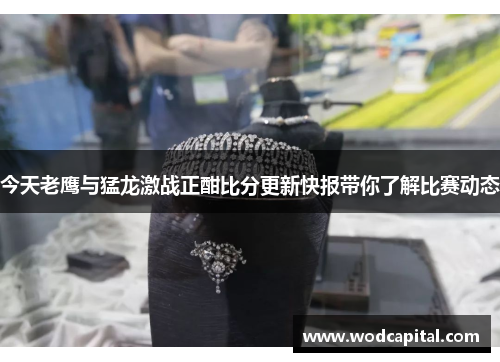 今天老鹰与猛龙激战正酣比分更新快报带你了解比赛动态