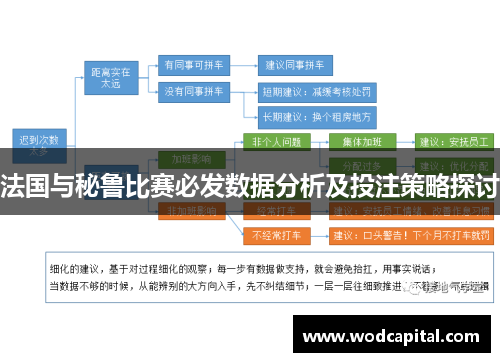 法国与秘鲁比赛必发数据分析及投注策略探讨