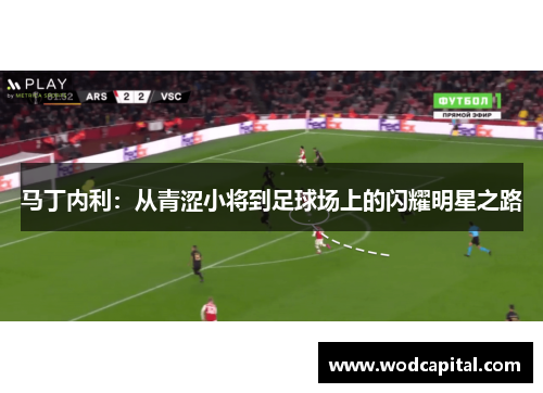 马丁内利：从青涩小将到足球场上的闪耀明星之路