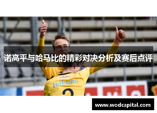 诺高平与哈马比的精彩对决分析及赛后点评